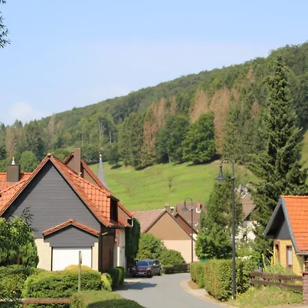 Lejlighed Haus Hirtenbergblick Lonau