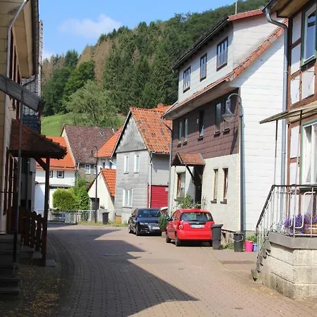 公寓 Haus Hirtenbergblick Lonau