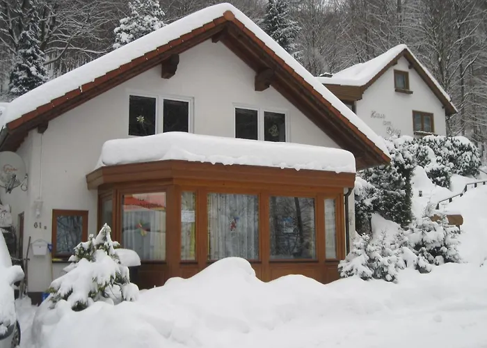 Haus Hirtenbergblick * Lonau