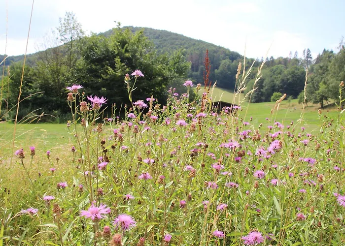 Haus Hirtenbergblick Appartement Lonau