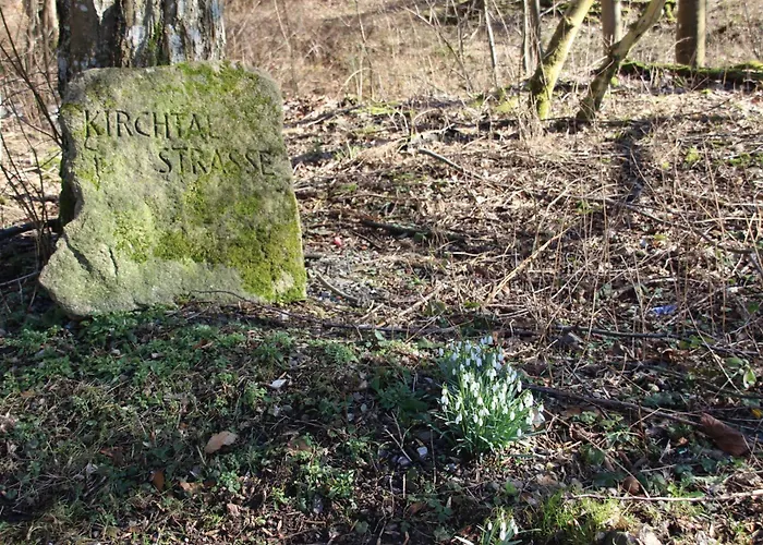 Haus Hirtenbergblick * Lonau